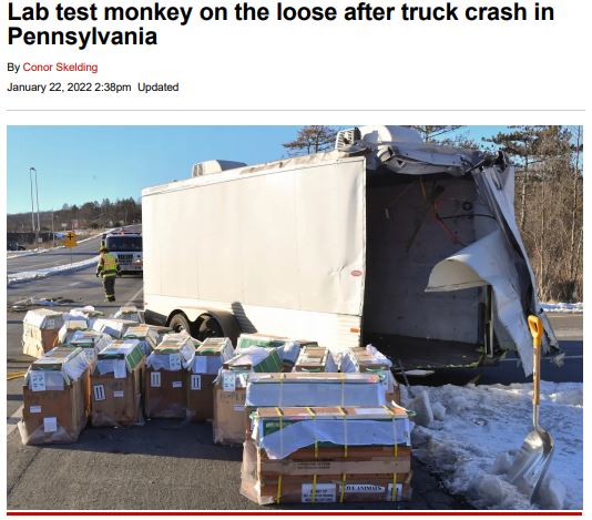 https://twpter.com/users/Quoteman/feed/2022-0520-1421-4620-f-Quoteman.pdf -   PDF: Lab monkey on the loose after truck crash in Pennsylvania            Yeah, well lets not forget the setup back in January 2022 for this next  #scamdemic              #ArchivePDF       #MonkeyPox       