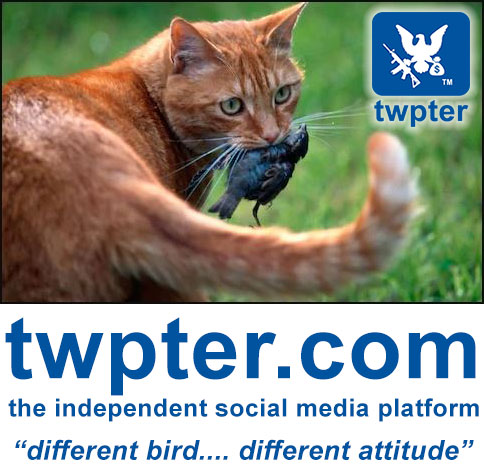 Twpter, The independent Social Media Platform.       "Different Bird, Different Attitude"            Not a "Woke" Institution.             @sysop  #NewUsers             Testing New Picture Upload with caption code routine.       