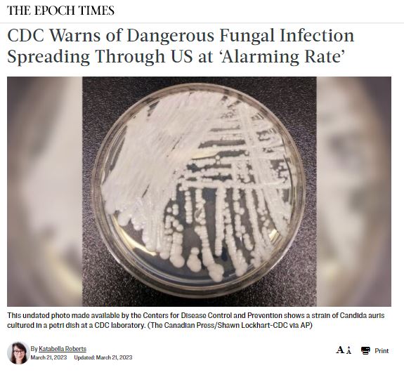 https://twpter.com/users/phoneguy/feed/2023-0322-0652-0867-f-phoneguy.pdf -     @Quoteman              Re: https://www.zerohedge.com/political/cdc-warns-dangerous-fungal-infection-spreading-through-us-alarming-rate            That was a pretty good quote of the day, but I like this one better:            "I am a board certified medical microbiologist. This is nothing more than fearmongering and lying. Key point here, we only see this infection in patients who are immuno-suppressed. Usually seriously ill elderly or patients with very poor immune response. It is spread through contact, so put your masks away Karens." - MWNN             #scamdemic  #Science  #ArchivePDF       #Healthcare       