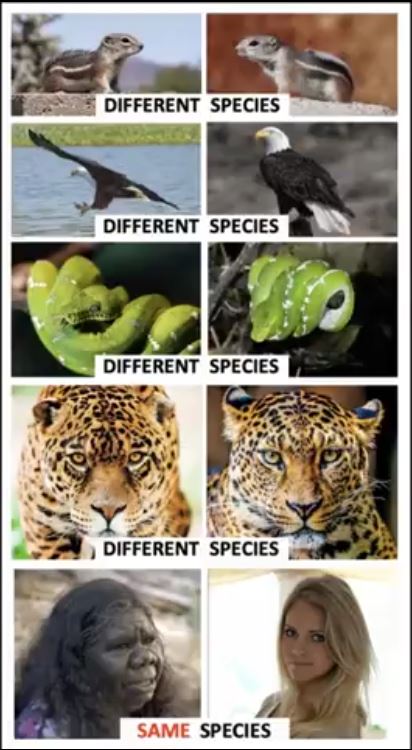   The #Diversity of different species, something to think about.            #Science  #AntiWoke       