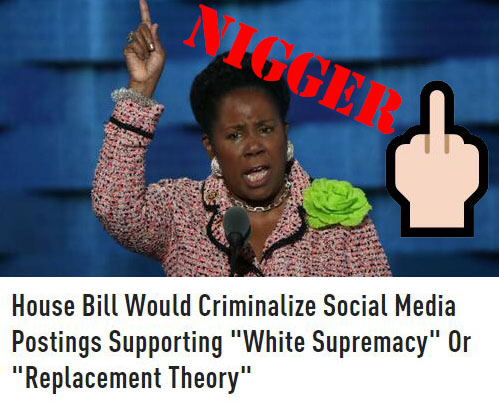 https://twpter.com/users/sluggo/feed/2023-0117-1517-2128-f-sluggo.pdf -   PDF: House Bill Would Criminalize Social Media Postings Supporting “White Supremacy” or “Replacement Theory” – JONATHAN TURLEY            Fuck this low IQ NIGGER             Rep. Sheila Jackson Lee (D., Tx.)             and her whole monkey-ass NIGGER family.       #Niggaz             https://jacksonlee.house.gov/            This Nigger wants to effectively revoke  #FreeSpeech and the 1st. amendment                  Blacks on average have a lower IQ than WHITE #European people, most of Sub-Saharan #Africa is nearly still in the stone age today,in places where there was no influence from WHITE European COLONISTS.            So I will stick by the FACT that BLACKS are inferior as a race, to WHITE Europeans.            I support the "REPLACEMENT THEORY"; that Jews and their lackeys are trying to replace WHITE Europeans in their own #EU countries & in  #America             https://counter-currents.com/2022/03/renaud-camus-on-the-great-replacement/            Furthermore I will say that 6 million Jews being killed in a supposed #Holocaust and / or in Nazi concentration camps is logistically impossible and did NOT happen.       #ArchivePDF       